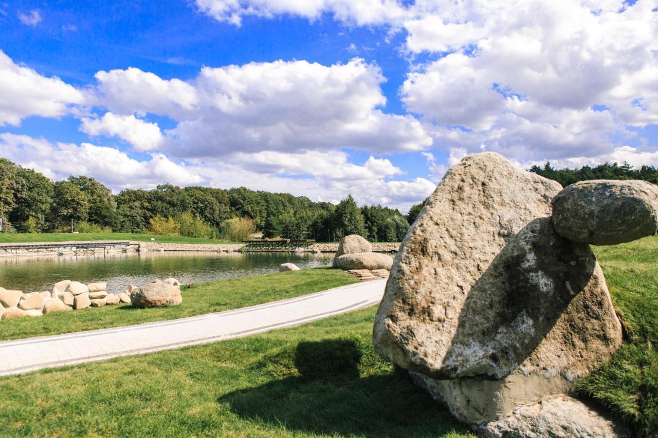 Галицька Корона Davidov Esterno foto